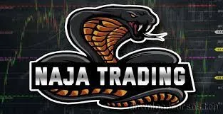 Capa: CURSO Take Trader