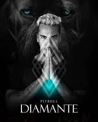 Capa: CURSO Tom Freire Pitbull Diamante 2