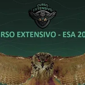 Capa: Extensivo ESA 2023 – Estratégia Militares