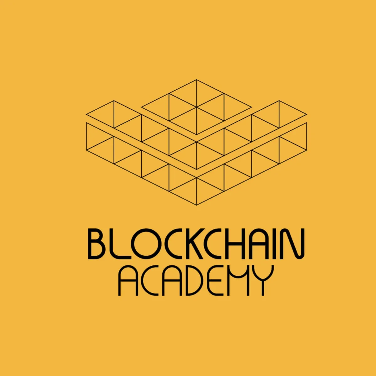 Capa: Blockchain Immersion – Blockchain Academy