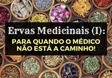 Capa: Ervas Medicinais (I) Para quando o Médico não está a Caminho!