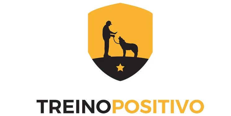 Capa: Treino Positivo 2.0